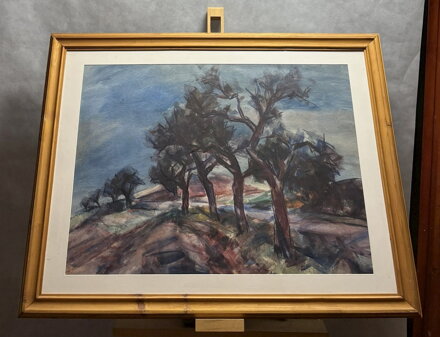 STROMY U CESTY - HAŠEK JOSEF