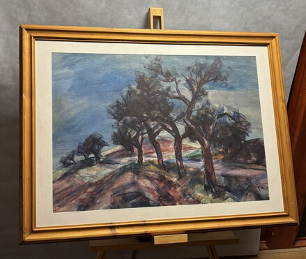 STROMY U CESTY - HAŠEK JOSEF