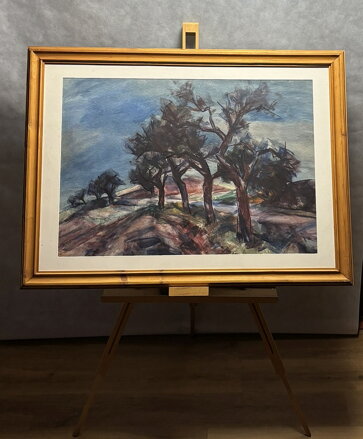 STROMY U CESTY - HAŠEK JOSEF