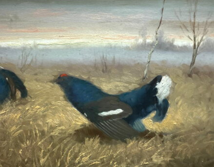 TETŘEVÍ TOK Z PODKRKONOŠÍ - HAVLATA KAREL