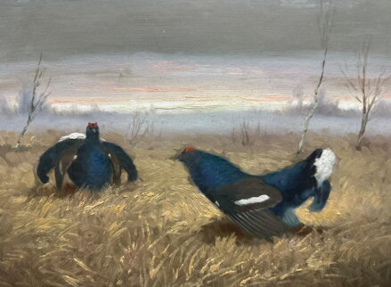 TETŘEVÍ TOK Z PODKRKONOŠÍ - HAVLATA KAREL