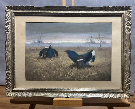 TETŘEVÍ TOK Z PODKRKONOŠÍ - HAVLATA KAREL