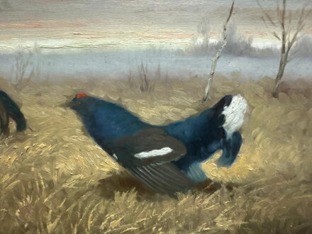 TETŘEVÍ TOK Z PODKRKONOŠÍ - HAVLATA KAREL