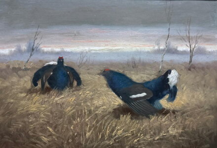 TETŘEVÍ TOK Z PODKRKONOŠÍ - HAVLATA KAREL