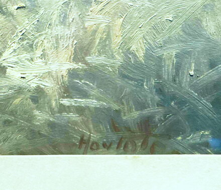 TETŘEVÍ TOK Z PODKRKONOŠÍ - HAVLATA KAREL