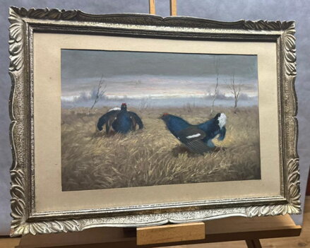 TETŘEVÍ TOK Z PODKRKONOŠÍ - HAVLATA KAREL