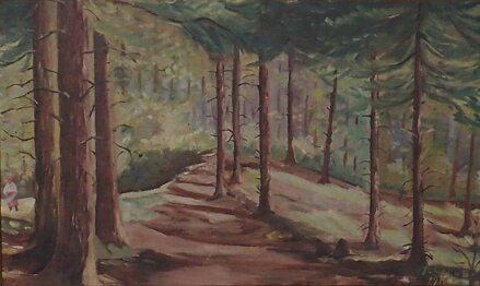 PROSLUNĚNÝ LES - HOLUB JOSEF