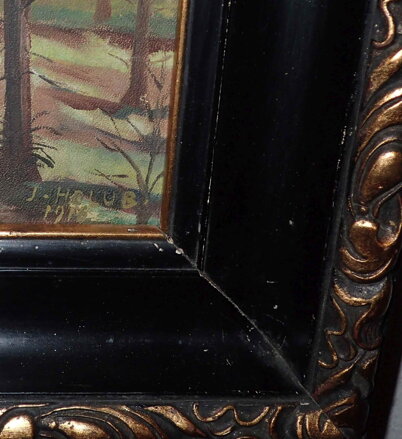 PROSLUNĚNÝ LES - HOLUB JOSEF