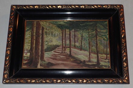 PROSLUNĚNÝ LES - HOLUB JOSEF