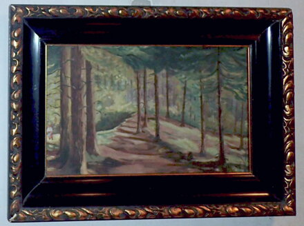 PROSLUNĚNÝ LES - HOLUB JOSEF