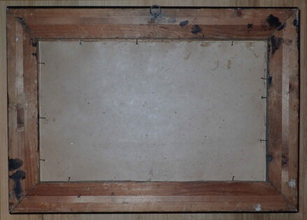 PROSLUNĚNÝ LES - HOLUB JOSEF