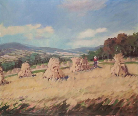 SNOPY V KRAJINĚ - HOLUB JOSEF