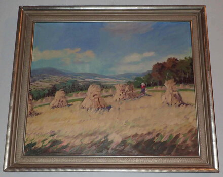 SNOPY V KRAJINĚ - HOLUB JOSEF