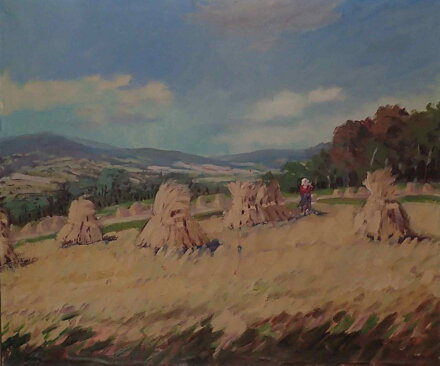 SNOPY V KRAJINĚ - HOLUB JOSEF