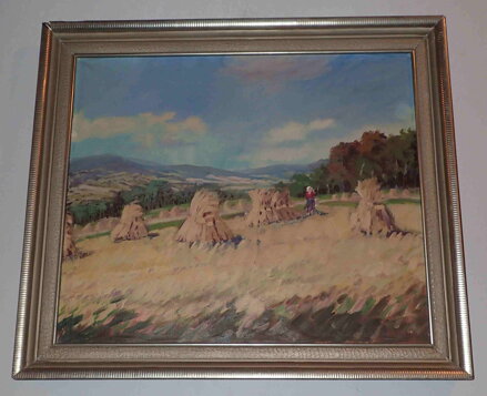 SNOPY V KRAJINĚ - HOLUB JOSEF