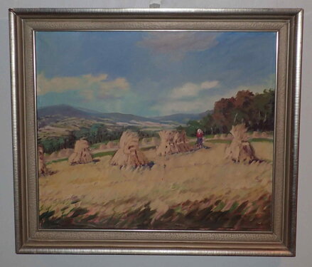 SNOPY V KRAJINĚ - HOLUB JOSEF