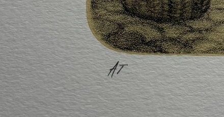 KOLONIÁL - HÜTTNEROVÁ IVA