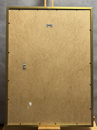 PRAHA NA JÁNSKÉM VRŠKU - HÜTTNEROVÁ IVA