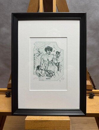 AKT APOLLÓN - HUJBER GÜNTER