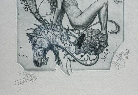 AKT - ČERNÉ VEJCE ČERNÉHO MOTÝLA - HUJBER GÜNTER