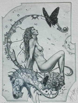 AKT - ČERNÉ VEJCE ČERNÉHO MOTÝLA - HUJBER GÜNTER