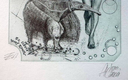 AKT DÁMA S MRAVENEČNÍKEM - HUJBER GÜNTER