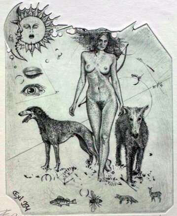 AKT - DIANA NA LOVU - HUJBER GÜNTER