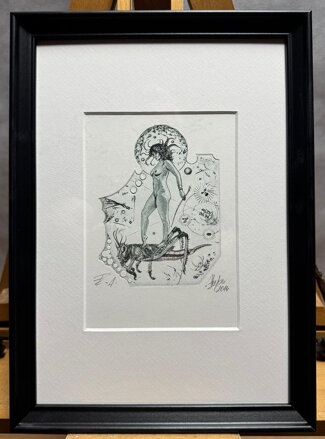 AKT DÍVKA S KONÍKEM - HUJBER GÜNTER