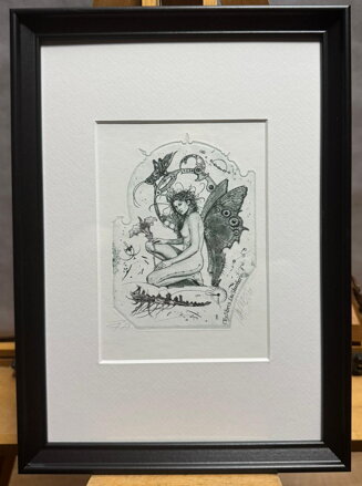 AKT - DÍVKA S MOTÝLEM - HUJBER GÜNTER