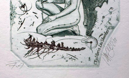 AKT - DÍVKA S MOTÝLEM - HUJBER GÜNTER