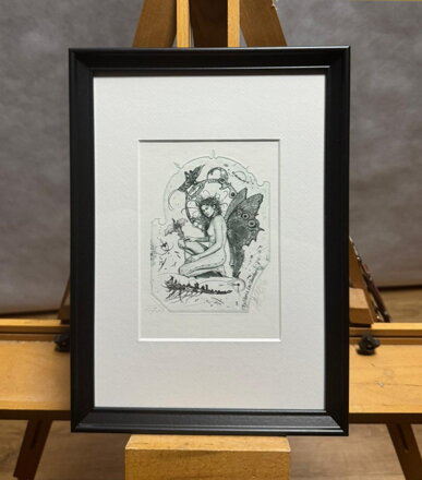 AKT - DÍVKA S MOTÝLEM - HUJBER GÜNTER