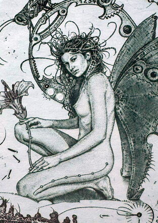 AKT - DÍVKA S MOTÝLEM - HUJBER GÜNTER