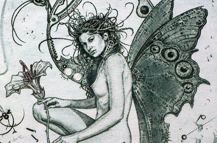 AKT - DÍVKA S MOTÝLEM - HUJBER GÜNTER