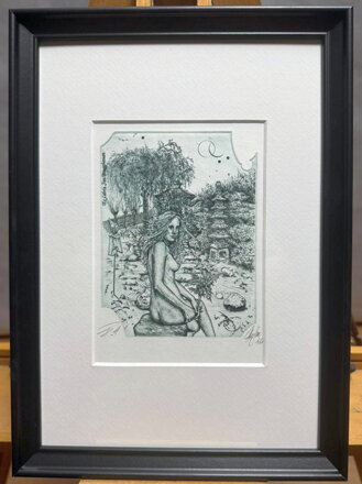 AKT - DÍVKA V JAPONSKÉ ZAHRADĚ - HUJBER GÜNTER