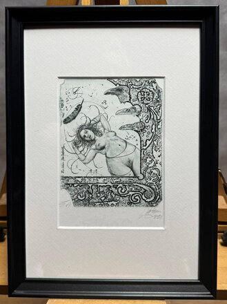 AKT HAVRAN - HUJBER GÜNTER