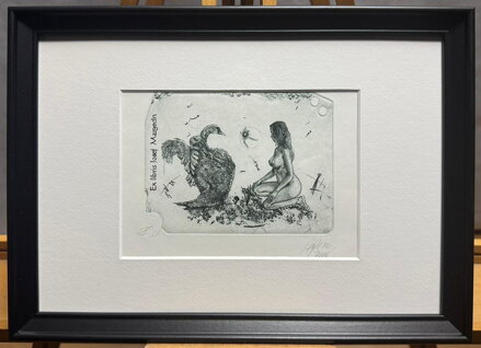 AKT - LEDA S LABUTÍ I. - HUJBER GÜNTER