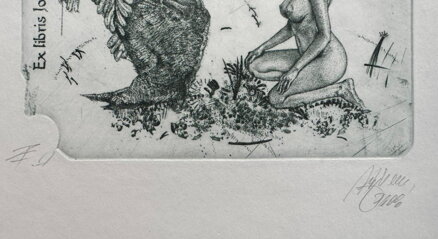 AKT - LEDA S LABUTÍ I. - HUJBER GÜNTER