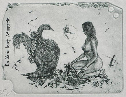 AKT - LEDA S LABUTÍ I. - HUJBER GÜNTER