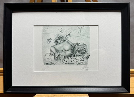 AKT LEDA S LABUTÍ II. - HUJBER GÜNTER