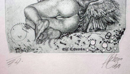 AKT LEDA S LABUTÍ II. - HUJBER GÜNTER