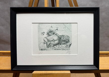 AKT LEDA S LABUTÍ II. - HUJBER GÜNTER