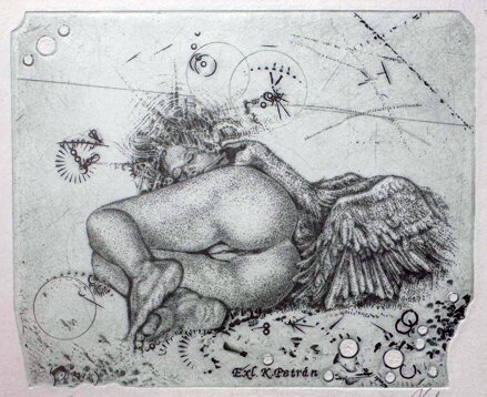 AKT LEDA S LABUTÍ II. - HUJBER GÜNTER