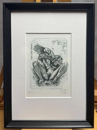 AKT - LEDA S LABUTÍ IV. - HUJBER GÜNTER