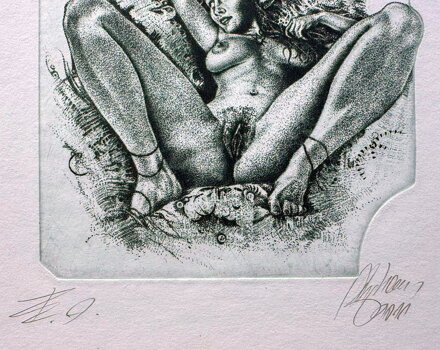 AKT - LEDA S LABUTÍ IV. - HUJBER GÜNTER