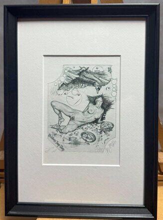 AKT - LEDA S LABUTÍ V. - HUJBER GÜNTER