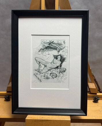 AKT - LEDA S LABUTÍ V. - HUJBER GÜNTER