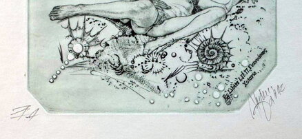 AKT LEDA S LABUTÍ VI. - HUJBER GÜNTER