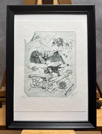 AKT LEDA S LABUTÍ VI. - HUJBER GÜNTER