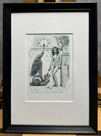 AKT NA PROCHÁZCE S MALÝM DRAKEM - HUJBER GÜNTER