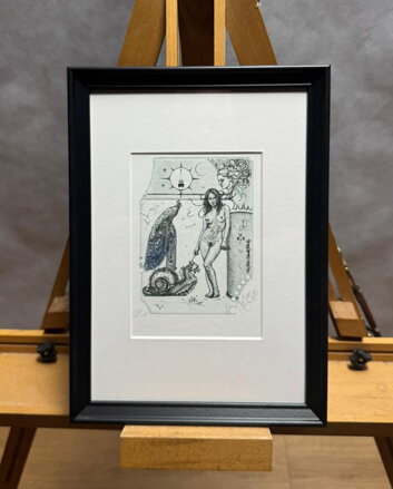 AKT NA PROCHÁZCE S MALÝM DRAKEM - HUJBER GÜNTER